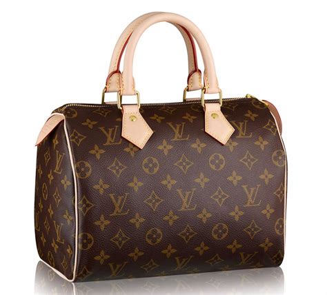 louis vuitton classic speedy bag|speedy louis vuitton bag price.